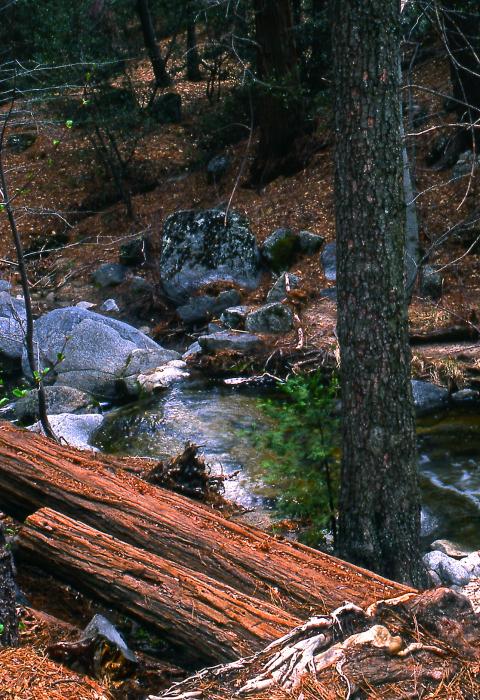 Fuller Mill Creek, California