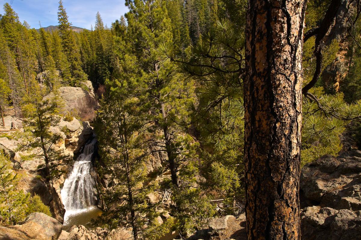 East Fork Jemez River, New Mexico