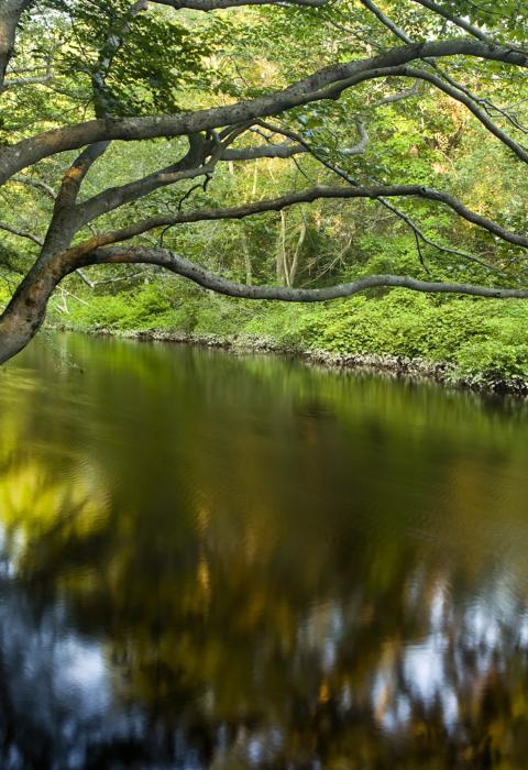 Taunton River, Massachusetts