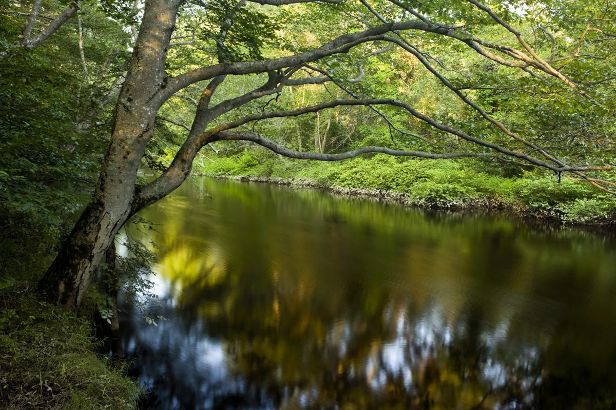 Taunton River, Massachusetts