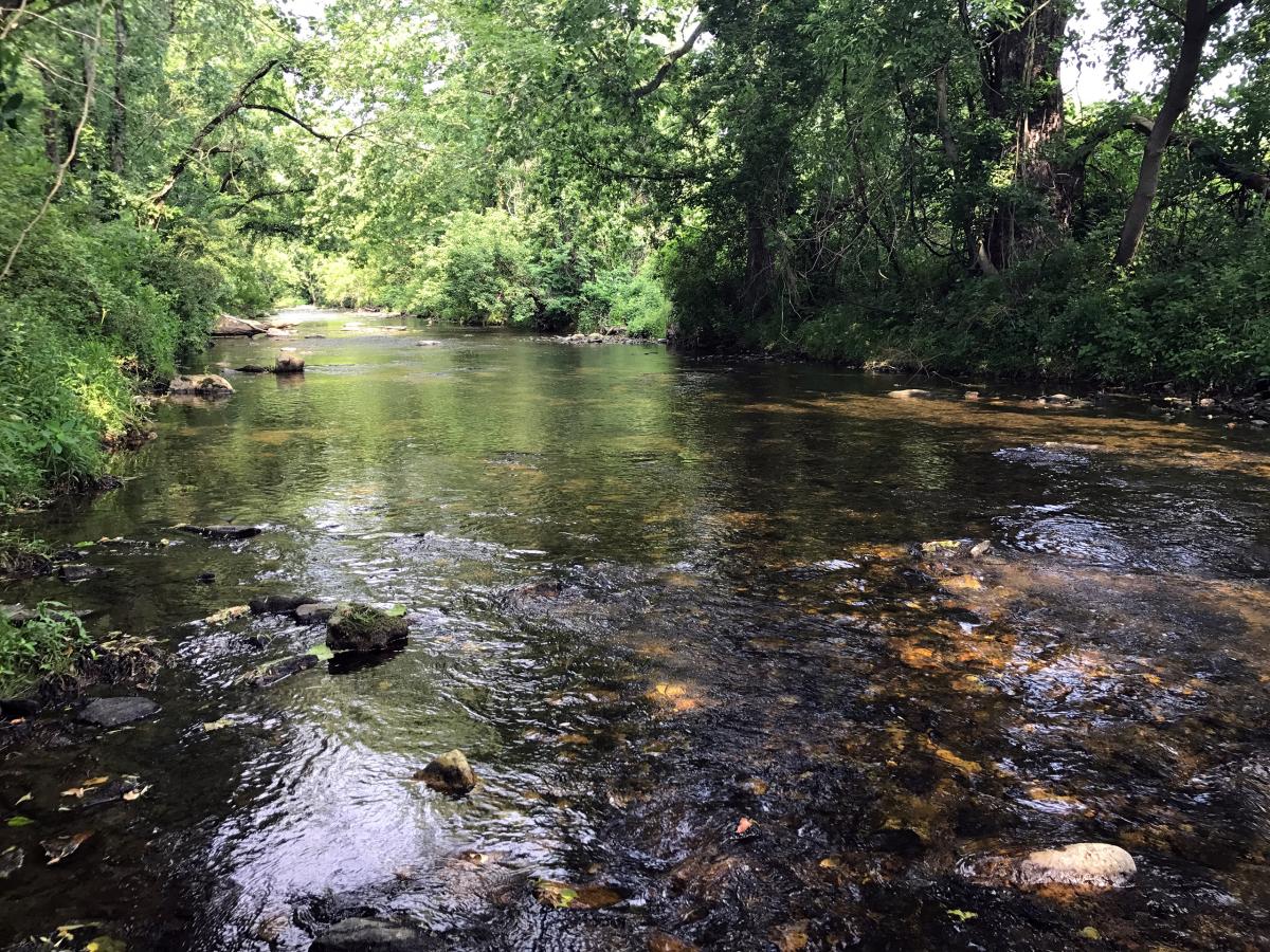 East Branch White Clay Creek, Pennsylvania