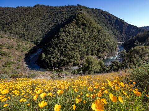 North Fork American River, California